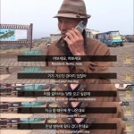 <동물농장> 파도를 맞으면서도 갯바위 망부석이된 누렁이.jpg - 연예이슈 수다방 - 네모판 <동물농장> 파도를 맞으면서도 갯바위... 