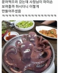 사장님의 센스.jpg - 연예이슈 수다방 - 네모판 사장님의 센스.jpg