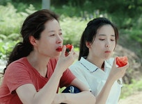영화 리틀 포레스트 속 김태리 토마토 먹는 씬 - 연예이슈 수다방 - 네모판 영화 리틀 포레스트 속 김태리 토마토 먹는 씬