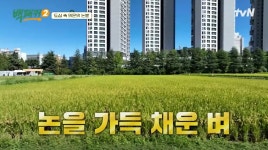 100여년 전통의 대구 농업 마이스터고의 학교 및 논밭 부지.jpg - 연예이슈 수다방 - 네모판 100여년 전통의 대구 농업 마이스터고의 학교... 