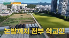 100여년 전통의 대구 농업 마이스터고의 학교 및 논밭 부지.jpg - 연예이슈 수다방 - 네모판 100여년 전통의 대구 농업 마이스터고의 학교... 