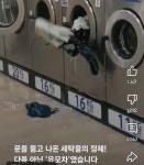 세탁소 쑥대밭 만든 최악의 손님 - 연예이슈 수다방 - 네모판 세탁소 쑥대밭 만든 최악의 손님