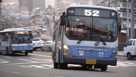 강자만이 살아남는다는 부산운전.jpgif - 연예이슈 수다방 - 네모판 강자만이 살아남는다는 부산운전.jpgif