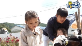 나은이 건후 슈돌 목장 촬영 비하인드 - 연예이슈 수다방 - 네모판 나은이 건후 슈돌 목장 촬영 비하인드
