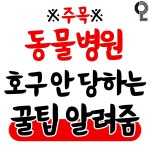 동물병원 호구 안당하는 꿀팁 - 연예이슈 수다방 - 네모판 동물병원 호구 안당하는 꿀팁