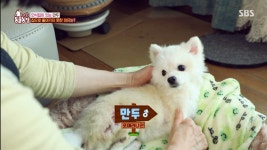 [동물농장] 황당하고 어처구니 없는 이번 주 사연.jpg - 연예이슈 수다방 - 네모판 [동물농장] 황당하고 어처구니 없는 이번 주 사연.jpg