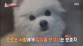 [동물농장] 황당하고 어처구니 없는 이번 주 사연.jpg - 연예이슈 수다방 - 네모판 [동물농장] 황당하고 어처구니 없는 이번 주 사연.jpg