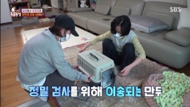 [동물농장] 황당하고 어처구니 없는 이번 주 사연.jpg - 연예이슈 수다방 - 네모판 [동물농장] 황당하고 어처구니 없는 이번 주 사연.jpg