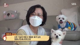 [동물농장] 황당하고 어처구니 없는 이번 주 사연.jpg - 연예이슈 수다방 - 네모판 [동물농장] 황당하고 어처구니 없는 이번 주 사연.jpg