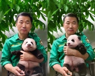 오늘 푸바오 보러 중국 간 강바오.jpg - 연예이슈 수다방 - 네모판 오늘 푸바오 보러 중국 간 강바오.jpg