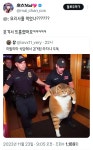 이탈리아 식당에서 검거된 라자냐 도둑 - 연예이슈 수다방 - 네모판 이탈리아 식당에서 검거된 라자냐 도둑