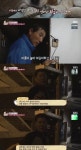 동물농장 빈집에 남겨진 두 반려견의 이야기 - 연예이슈 수다방 - 네모판 동물농장 빈집에 남겨진 두 반려견의 이야기