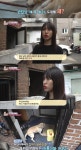 동물농장 빈집에 남겨진 두 반려견의 이야기 - 연예이슈 수다방 - 네모판 동물농장 빈집에 남겨진 두 반려견의 이야기