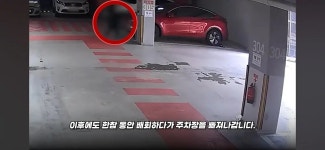 운전 중 사거리 대각선 방향에서 범인을 발견한 형사 - 연예이슈 수다방 - 네모판 운전 중 사거리 대각선 방향에서 범인을 발견한 형사