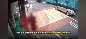 운전 중 사거리 대각선 방향에서 범인을 발견한 형사 - 연예이슈 수다방 - 네모판 운전 중 사거리 대각선 방향에서 범인을 발견한 형사
