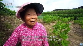 손녀를 위한 할머니표 국수밥상.jpg - 연예이슈 수다방 - 네모판 손녀를 위한 할머니표 국수밥상.jpg