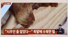 족발을 시켰는데 시츄가 왔다 웃음 못참아 사과문 쓴 jtbc 김하은... jpg - 연예이슈 수다방 - 네모판 족발을 시켰는데 시츄가 왔다 웃음... 