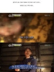 동물농장 고양이의 눈물 - 연예이슈 수다방 - 네모판 동물농장 고양이의 눈물