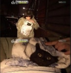 동물농장 고양이의 눈물 - 연예이슈 수다방 - 네모판 동물농장 고양이의 눈물