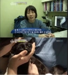 동물농장 고양이의 눈물 - 연예이슈 수다방 - 네모판 동물농장 고양이의 눈물