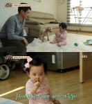 동물농장 스타견 강아지 웅자 그 후의 이야기.jpg - 연예이슈 수다방 - 네모판 동물농장 스타견 강아지 웅자 그 후의 이야기.jpg
