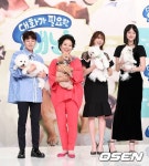 오늘 tvN 새 예능 대화가 필요한 개냥 제작발표회 - 연예이슈 수다방 - 네모판 오늘 tvN 새 예능 대화가 필요한 개냥 제작발표회