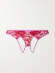 FLEUR DU MAL Magnolia cutout Leavers lace stretch-silk satin briefs | NET-A-PORTER