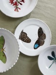 Astier De Villatte Home for Women | NET-A-PORTER