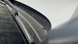 구매후기 - 미니하지만 강력한 BLDC 모터의 힘 마음에 듦! | 택티컬아웃도어 넷피엑스