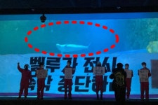 접착제 제거제면 충분… 롯데월드 아쿠아리움 앞에서 벨루가의 방류를 촉구한 시민단체는 할 말이 많다.