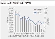 바이러스 복합 내병성 지닌 대과종 “그게 나야” [영농자재신문(주)] 바이러스 복합 내병성 지닌 대과종 “그게 나야”