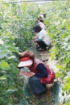 멀고도 험한 ‘농약관리’ [영농자재신문(주)] 멀고도 험한 ‘농약관리’