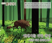 [유민의 農에세이] 멧돼지를 위한 변명 [영농자재신문(주)] [유민의 農에세이] 멧돼지를 위한 변명