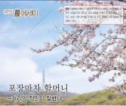 [유민의 農 에세이] 포장마차 할머니 [영농자재신문(주)] [유민의 農 에세이] 포장마차 할머니