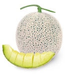 흰가루병에 강한 신품종 ‘알로하 멜론’ [영농자재신문(주)] 흰가루병에 강한 신품종 ‘알로하 멜론’