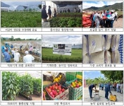 농진청 코피아(KOPIA) 도미니카공화국 센터 개소 10주년 기념행사 [영농자재신문(주)] 농진청 코피아(KOPIA) 도미니카공화국 센터 개소... 
