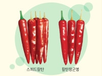 동오시드 ‘스피드칼탄’, 우수 내병성과 수확량까지~ [영농자재신문(주)] 동오시드 ‘스피드칼탄’, 우수 내병성과 수확량까지~