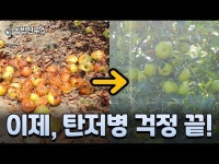동방아그로 ‘탄저병’ 약제…“이렇게 다릅니다” [영농자재신문(주)] 동방아그로 ‘탄저병’ 약제…“이렇게 다릅니다”