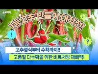 천지바이오 고추재배력 (1등고추 만들기) [영농자재신문(주)] 천지바이오 고추재배력 (1등고추 만들기)