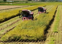 농업기계 검정기준 고시 개정…안전성 강화 방점 [영농자재신문(주)] 농업기계 검정기준 고시 개정…안전성 강화 방점
