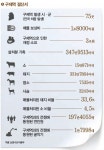 ‘구제역과의 전쟁’ 116일 만에 ‘끝’ - 제주환경일보 ‘구제역과의 전쟁’ 116일 만에 ‘끝’