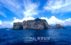 멸종 분류 파초일엽,섶섬에서 자란다 - 제주환경일보 멸종 분류 파초일엽,섶섬에서 자란다