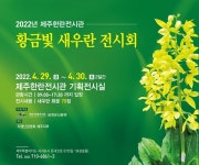 황금빛 새우란이 전하는 금빛 기운을 느껴보세요 - 제주환경일보 황금빛 새우란이 전하는 금빛 기운을 느껴보세요