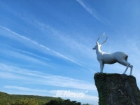 (현장포커스) 한라산 전설 속 백록이..예쁘게 새 단장했네.. - 제주환경일보 (현장포커스) 한라산 전설 속 백록이..예쁘게 새 단장했네..