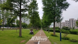 ‘서귀포시 516로 가로수’ 싱그러운 녹색도시, 잘 가꾼 도시숲... ‘서귀포시 516로 가로수’ 싱그러운 녹색도시, 잘 가꾼 도시숲 우수사례... 