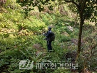 제주자연돌봄센터, ‘삼도 파초일엽 자생지’ 모니터링 - 제주환경일보 제주자연돌봄센터, ‘삼도 파초일엽 자생지’ 모니터링