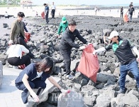 제주자연돌봄센터, 수산리 곰솔·산천단 곰솔 정기 모니터링 - 제주환경일보 제주자연돌봄센터, 수산리 곰솔·산천단 곰솔 정기 모니터링
