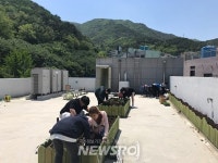 해운대청소년문화의집 청소년들 계절작물 재배해 경로당에 전달 | 뉴스로