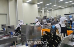충남도 수산물 가공산업 1조 원 시대 ‘눈앞’ | 뉴스로