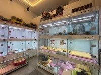 김해시, 반려동물 영업장 마무리 일제점검 실시 | 뉴스로